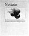 7-Nettato