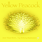 Yellow Peacock